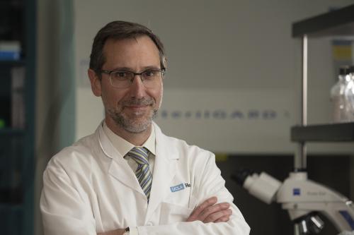 Dr. Antoni Ribas wears a labcoat and smiles in a UCLA laboratory. 