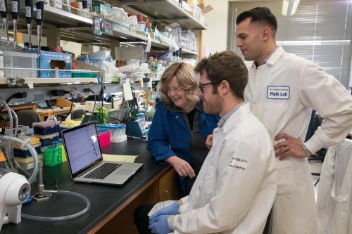 Kathrin Plath and two trainees read the contents of a laptop in a UCLA lab.