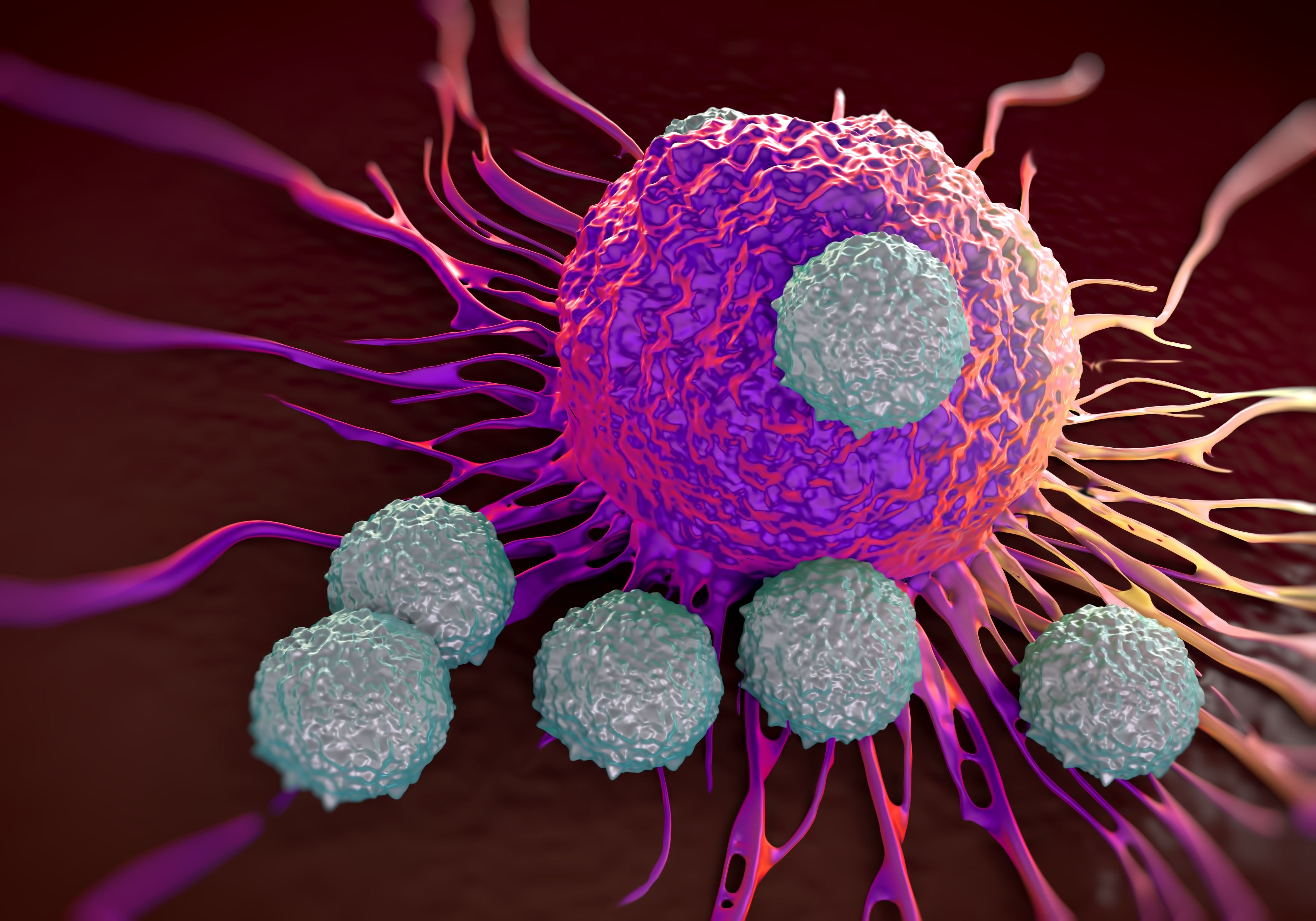 Genetically engineered dendritic cells enhance the power of ...