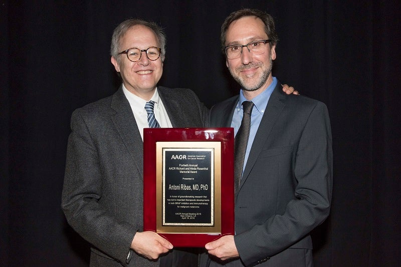 Dr. Antoni Ribas receives American Association for Cancer Research award