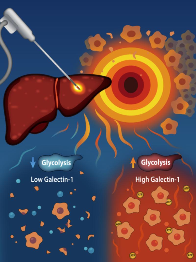 Illustration by the Chiang lab.
