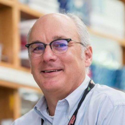 Mark Walters, MD