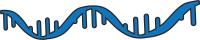 A stylized blue illustration of a single-stranded RNA molecule, featuring a wavy, continuous backbone with individual nucleobases of varying lengths projecting from it.