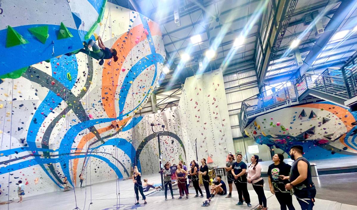 A group looks up at another climber in a rock climbing gym.