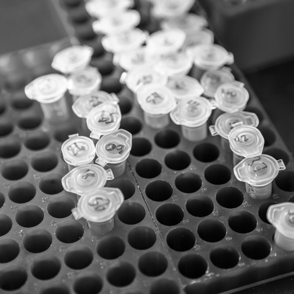 colorful plastic vials used as lab equipment