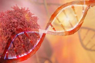 The progression of a tumor can reflect not only changes in the DNA bases themselves, but also epigenetics factors that determine the DNA’s structural conformation and the factors with which it interacts.