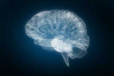 Brain scan image.