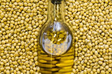 High oleic oil inside a glass battle sits among soybean seeds from variety tests at the Fisher Delta Research Center in Portageville, MO.