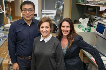 UCLA professors Huan Meng, Melissa Spencer and April Pyle pictured in a lab.