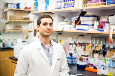 Andrew Goldstein is an assistant professor in residence in the UCLA departments of Urology and Molecular, Cell and Developmental Biology, as well as a member of the Broad Stem Cell Research Center and Jonsson Comprehensive Cancer Center, both at UCLA.