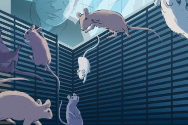 Illustration of mice adapting to their custom-designed space habitat on board the International Space Station