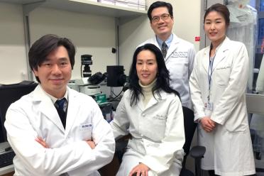 The UCLA NELL-1 research team, left to right: Kang Ting, Chia Soo, Ben Wu and Jin Hee Kwak