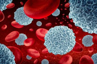 A computer rendering of white blood cells and Immunotherapy lymphocyte cells with red blood cells.