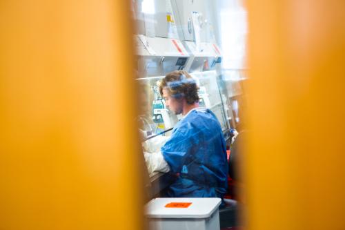 A peak at a researcher at work in a UCLA lab.