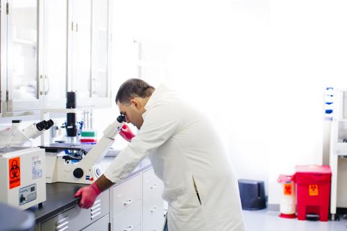 A UCLA researcher leans into microscope.