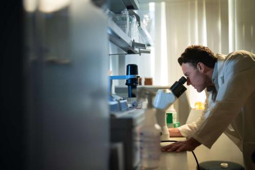 UCLA scientist David Nathanson leans in to look inside a microscope. He wears a white labcoat.