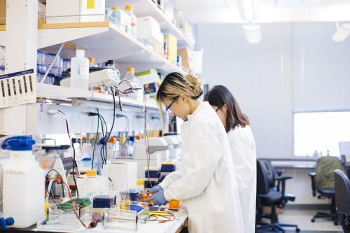 two scientists working at a lab bench at UCLA
