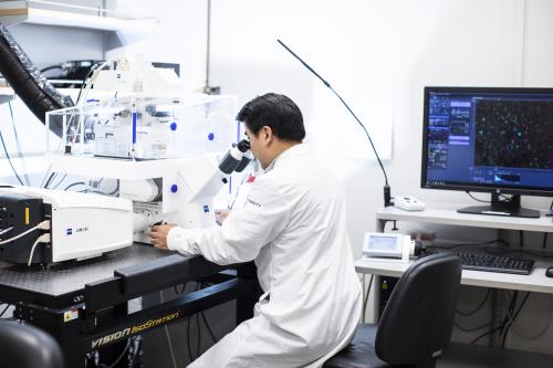 A scientist looks into a high-tech microscope in a lab