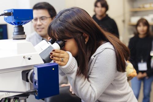 A high school student from East Los Angeles Renaissance Academy looks at neural cells under a high-resolution microscope