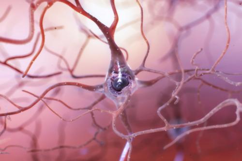 artistic rendering of a healthy neuron