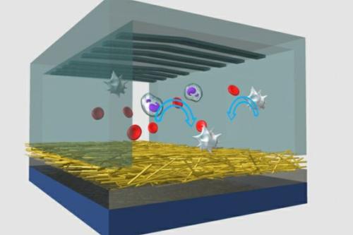 NanoVelcro chip graphic illustration