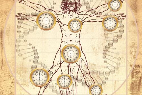 The Vitruvian man with clocks at different points on the body.