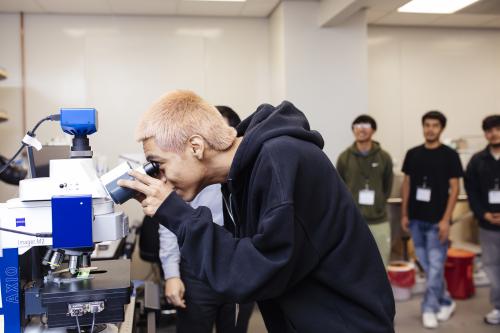 high school student with pink hair looking into a microscope