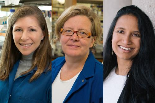 From left to right: Dr. Heather Christofk, Dr. Kathrin Plath and Dr. Aparna Bhaduri