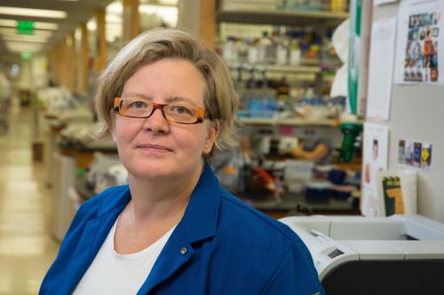 UCLA scientist Kathrin Plath in the lab