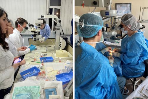 Two side-by-side images of a skill transfer session hosted by Dr. Anthony Aldave in Yerevan Armenia. Two-panel photo showing clinicians in ophthalmology training settings, with the left image showing participants gathered around microscopes and surgical tools in a lab, and the right image showing two clinicians in surgical gowns using an operating microscope during an eye procedure.