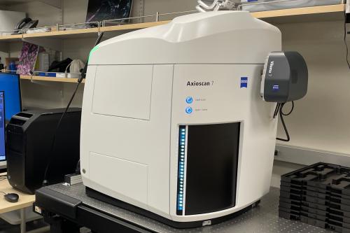 Microscopy Core - Axioscan 7