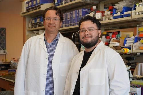Dr. William Lowry (left) and Carlos Galván (right) pictured in Lowry's UCLA lab. 