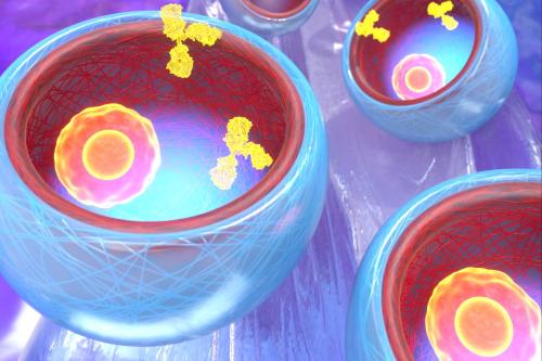 Graphic rendering of bowl-shaped microparticles. 