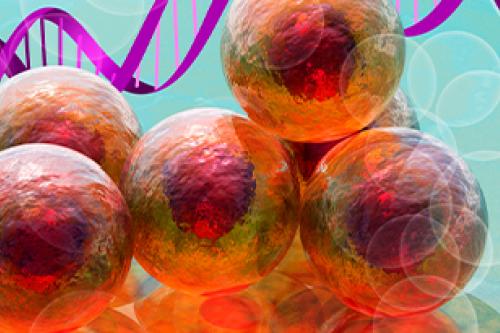 Cell Symposia: Gene and cell-based therapies: Progress in clinical translation