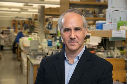 Researcher Daniel Geschwind stands smiling in a UCLA laboratory.