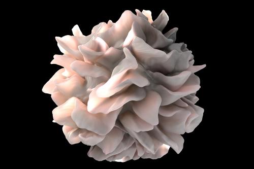artistic rendering of a human dendritic cell