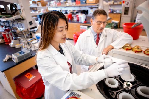 A senior researcher, Donald Kohn, and trainee in a UCLA lab 