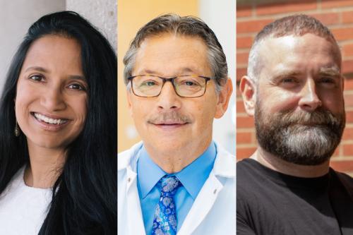 collage of UCLA researchers Aparna Bhaduri, Ph.D., Donald Kohn, M.D., Ph.D. and Roger Hollis, Ph.D.