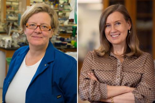 headshot collage of scientist kathrin plath wearing a blue lab coat on left and scientist hanna mikkola wearing a brown shirt on right both in a lab setting