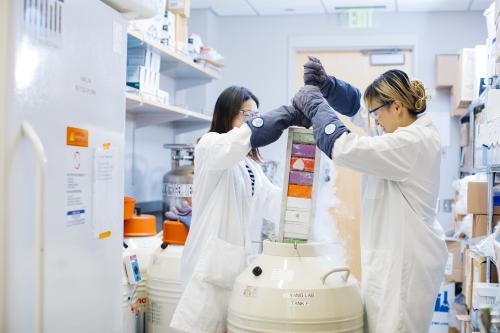 Two lab researchers in white coats and protective gloves remove a colorful sample rack from a liquid nitrogen cryogenic storage tank labeled "Yang Lab Tank F," with vapor rising from the container.