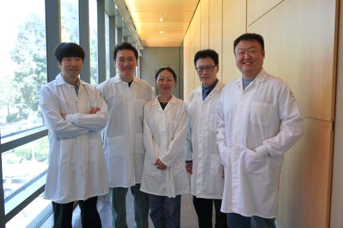 Five researchers, from left: Jae Min Cho, Yanruide Li, Lili Yang, Tzung Hsiai and Enbo Zhu, in white lab coats stand smiling in a sunlit hallway with floor-to-ceiling windows