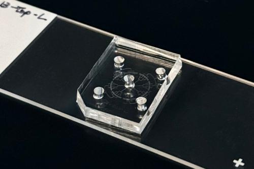 A microfluidic device is placed on a cell slide, which is against a black background