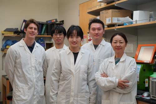UCLA scientist Dr. Lili Yang stands beside her lab members.