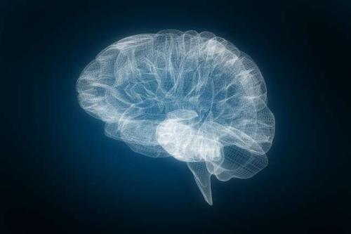Brain scan image.