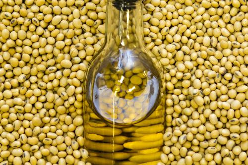 High oleic oil inside a glass battle sits among soybean seeds from variety tests at the Fisher Delta Research Center in Portageville, MO.
