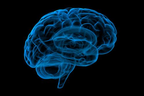 Blue, translucent 3D rendering of a human brain in side view, showing internal structures, the cerebellum and brainstem against a black background.