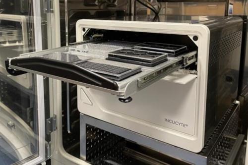 Microscopy Core - IncuCyte SX5 251024