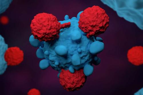illustration of cancer-fighting T cells in red attacking a tumor in blue