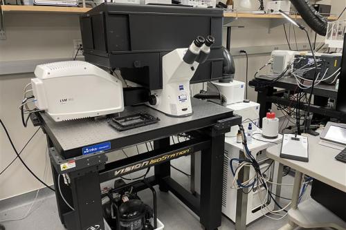 Microscopy Core - LSM 900 251027