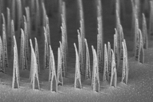 nanospears engineered for gene therapy